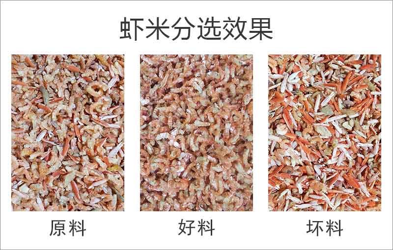 20240308095233_88610 首页 | J9集团有限公司官网