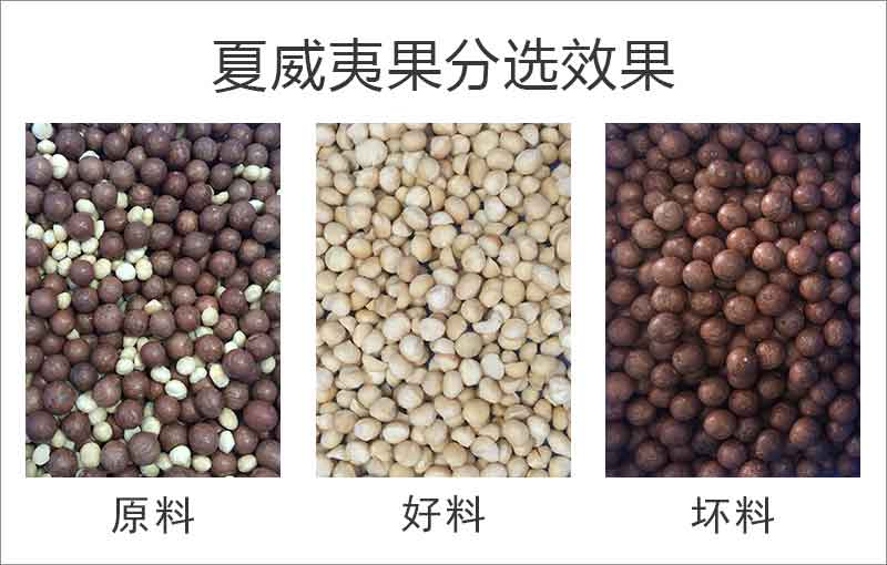 20240308095241_69603 首页 | J9集团有限公司官网