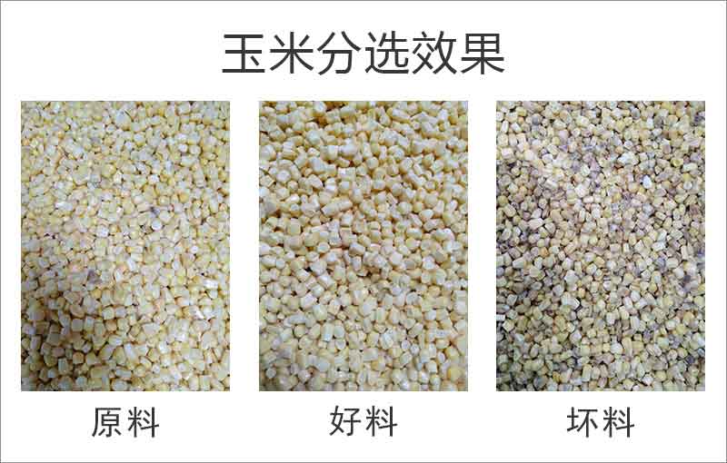 20240308095250_51941 首页 | J9集团有限公司官网