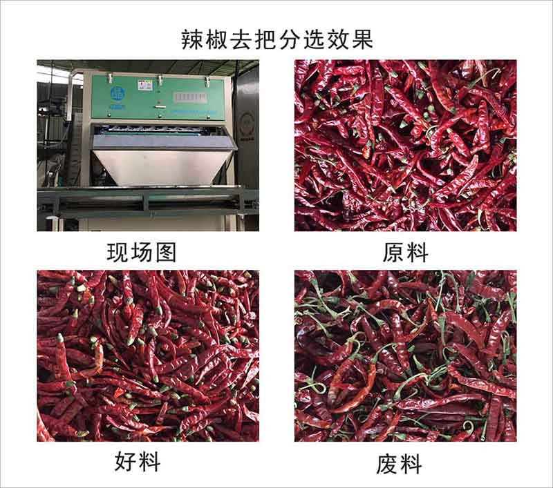 1632722430399764.jpg 图片关键词