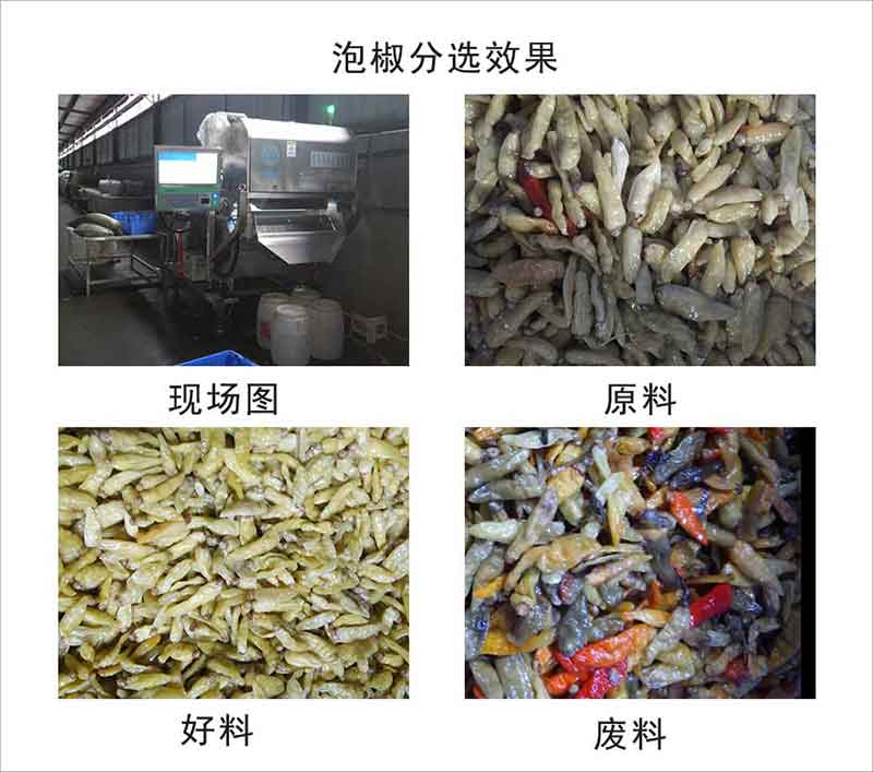1632722430694925.jpg 图片关键词