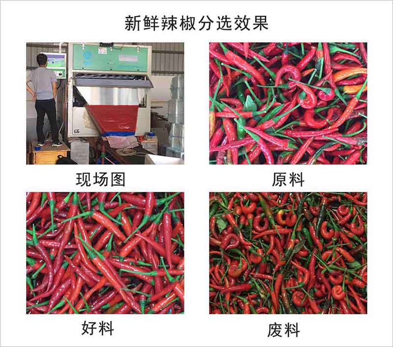 1632722430859641.jpg 图片关键词