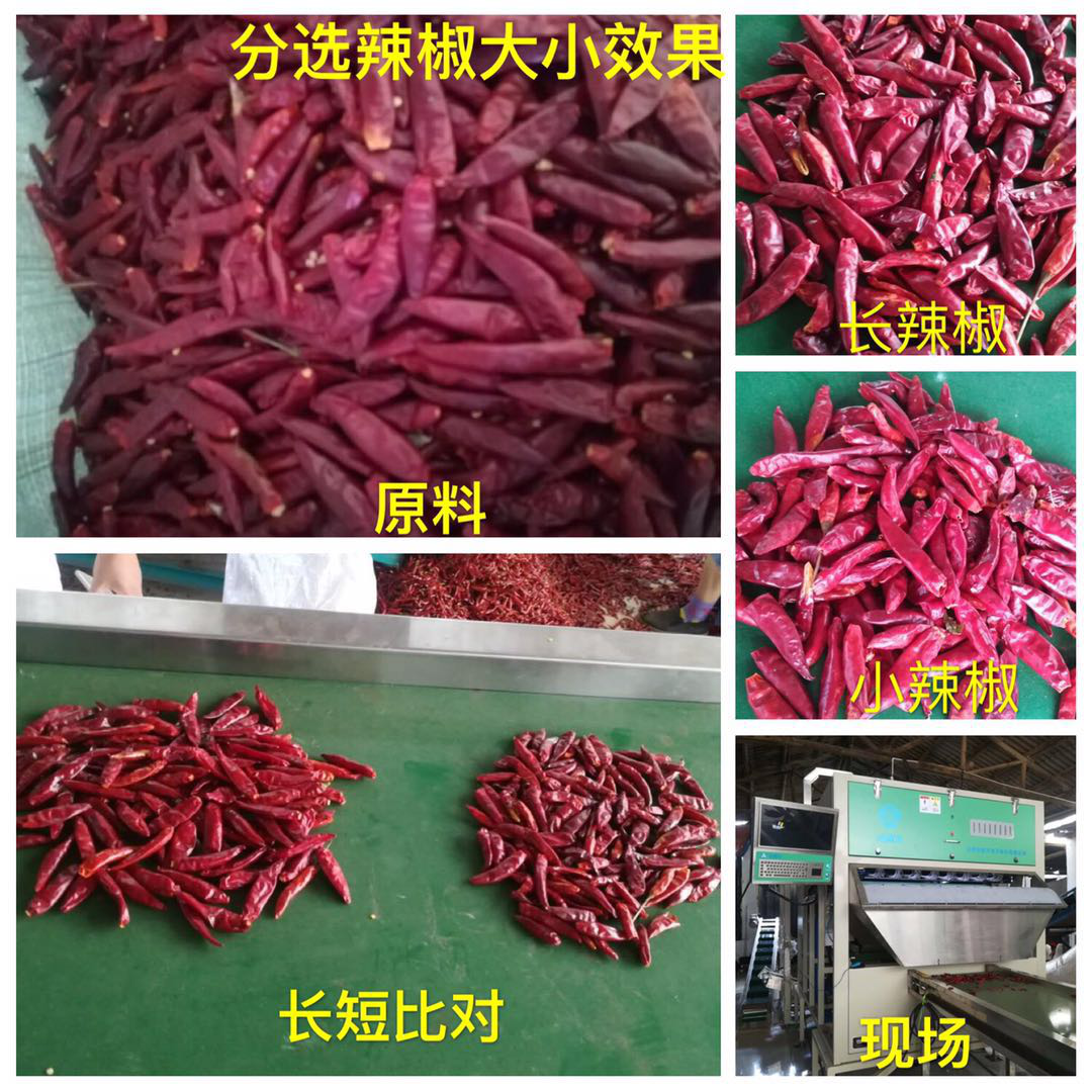 色选机|食品|再生料|矿石|履带色选机 色选机|食品|再生料|矿石|履带色选机