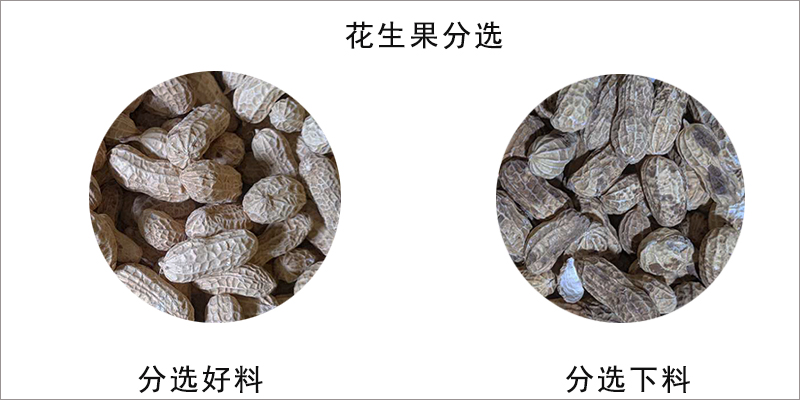 1594002543636498.jpg 图片关键词