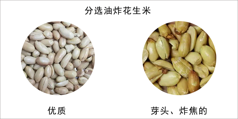 1594002543712799.jpg 图片关键词