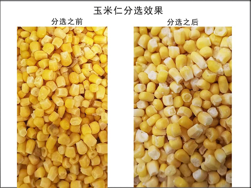 色选机|食品色选机|再生资源色选机|矿石色选机|履带色选机 色选机|食品色选机|再生资源色选机|矿石色选机|履带色选机