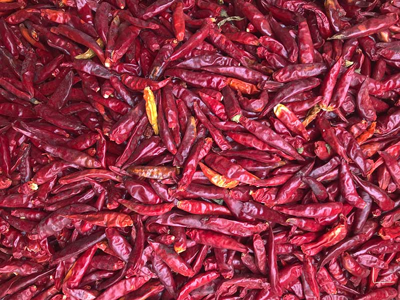 山东金乡-辣椒-李-3028处，原料.jpg