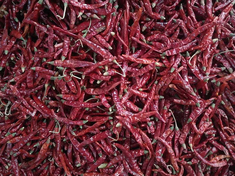 印度-辣椒-Sharma-5041处，辣椒选把，原料.jpg