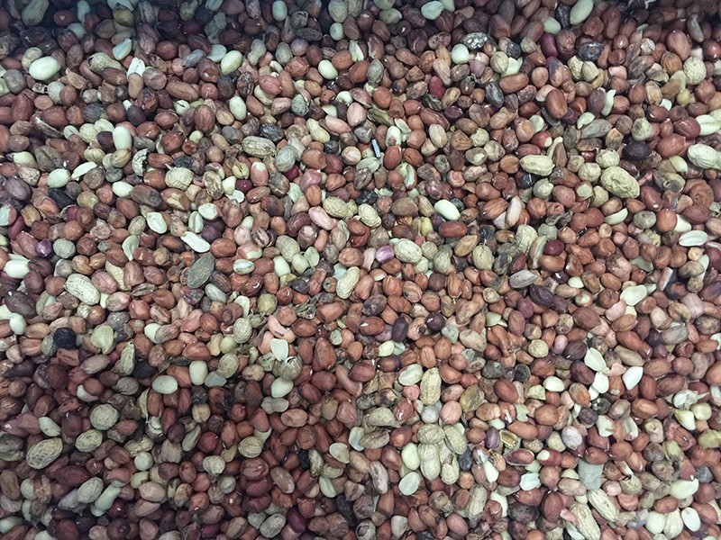 色选机|食品色选机|再生资源色选机|矿石色选机|履带色选机 色选机|食品色选机|再生资源色选机|矿石色选机|履带色选机