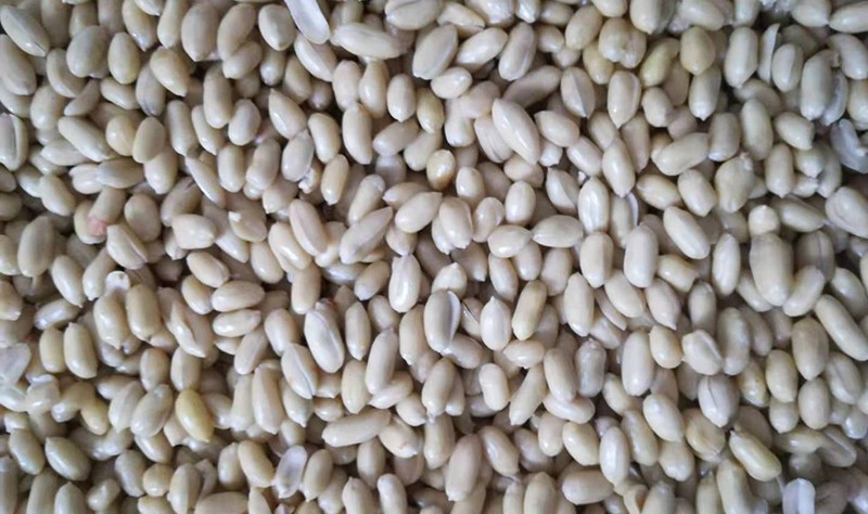 1568107274109985.jpg 图片关键词
