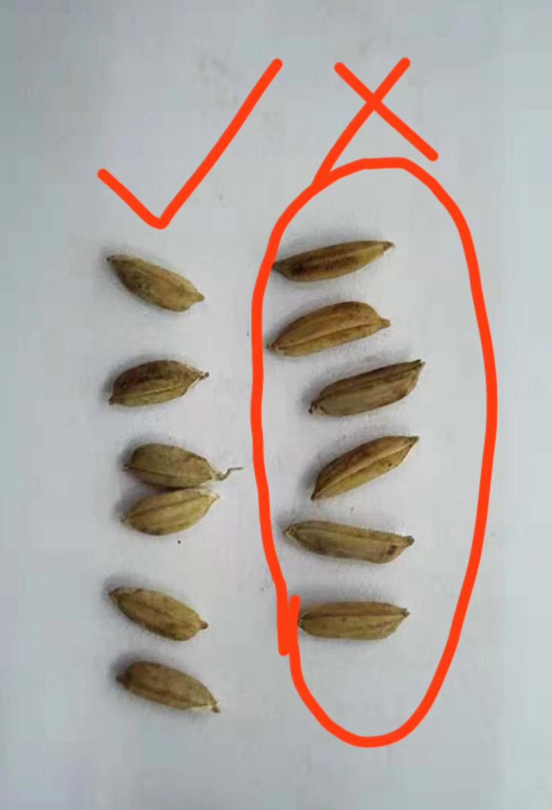 色选机|食品|再生料|矿石|履带色选机 色选机|食品|再生料|矿石|履带色选机
